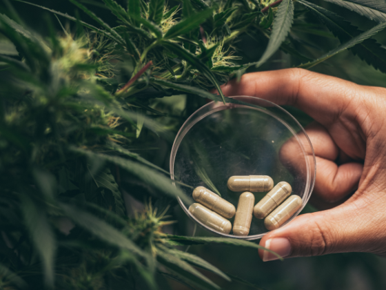 Will CBD Oil Trigger a Positive Drug Test?