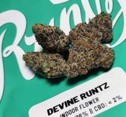 Devine Runtz Strain For Sale In Oregon