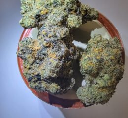 Gary Payton Kush where to buy in Oregon