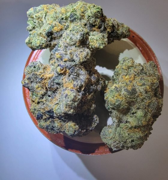 Gary Payton Kush where to buy in Oregon