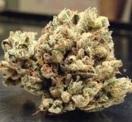 Where To Buy Extreme OG Strain Online In Oregon