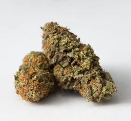 Where To Get Grape Ape Strain Online In Oregon