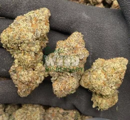 Where To Buy Bubba Kush Online In Oregon