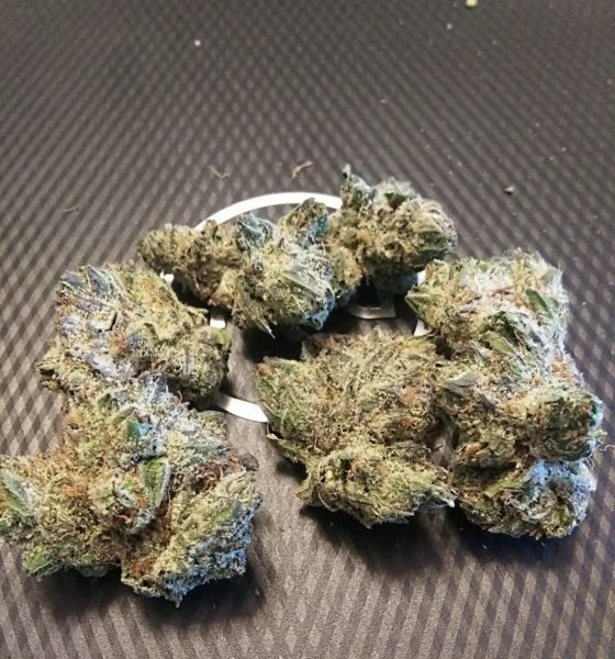 Where To Buy Bubba Kush Online In Oregon