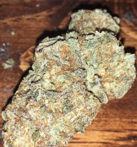 Where To Buy Extreme OG Strain Online In Oregon