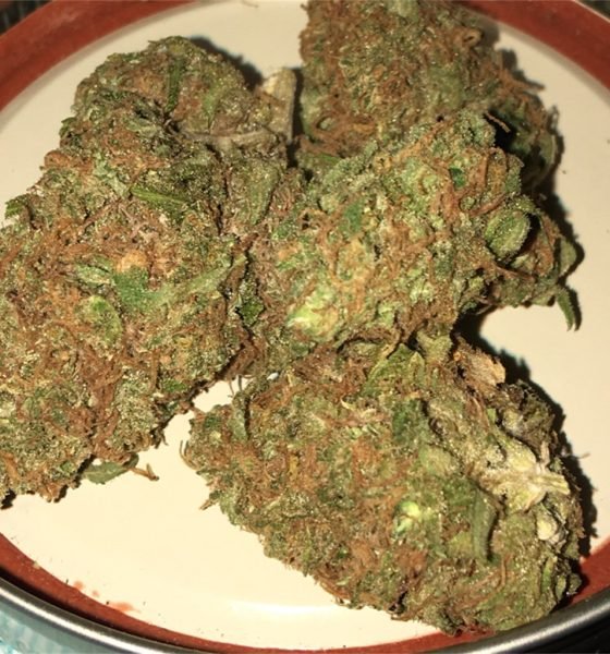 Where To Buy Blue Cheese Kush Strain Online In Oregon