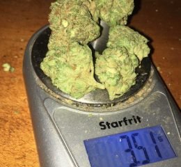 Where To Purchase Afghan Kush Strain Online In Oregon