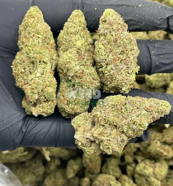 Where To Purchase AK 47 Strain Online In Oregon