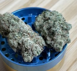 Where To Buy Blue Diesel Strain Online In Oregon