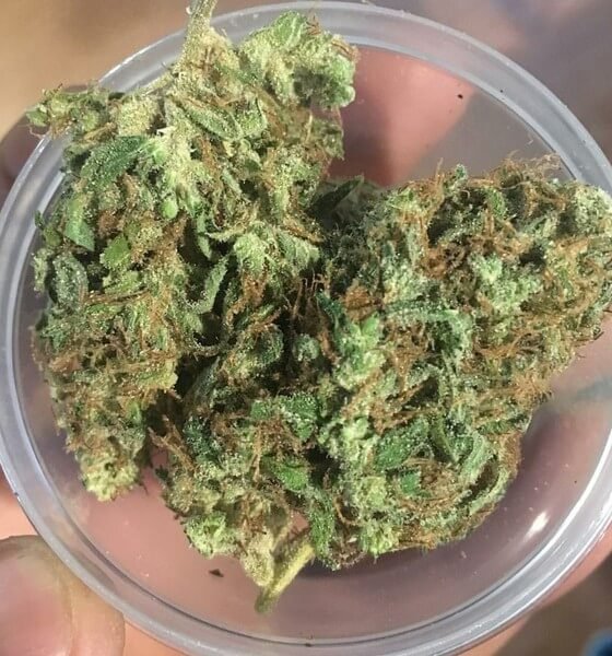 Buy Rockstar Marijuana Online