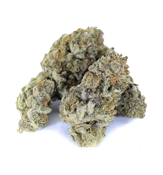 white buffalo strain for sale