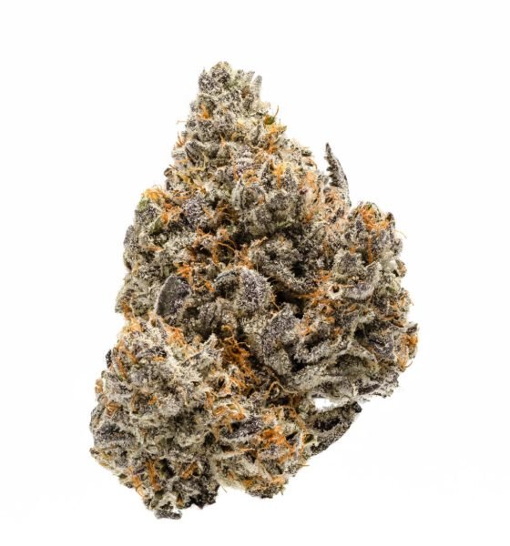 white buffalo strain for sale