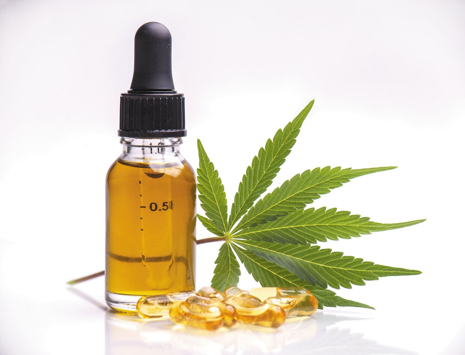 cbd products near me OR